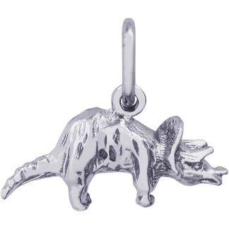 DINOSAUR- Item No: 255777