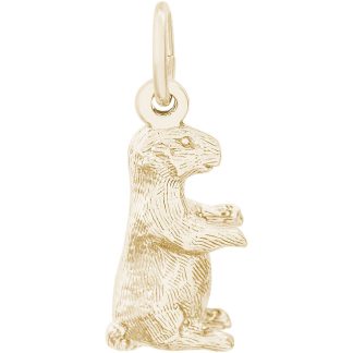 Groundhog- Item No: 256150