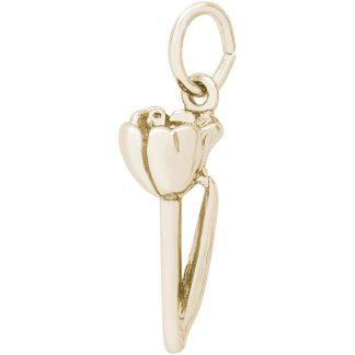 Crocus- Item No: 384806