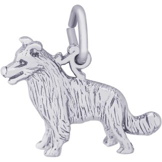 BORDER COLLIE DOG- Item No: 259483