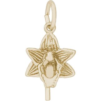 Orchid- Item No: 261042