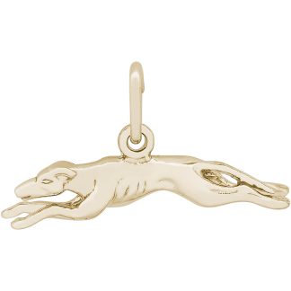 Greyhound- Item No: 268659