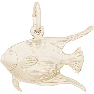 Angelfish- Item No: 269688