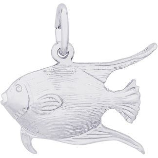 ANGELFISH- Item No: 269685
